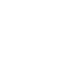 deepdive-logo-footer